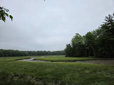 Lot 175 Poplar Lane Milbridge ME 04658