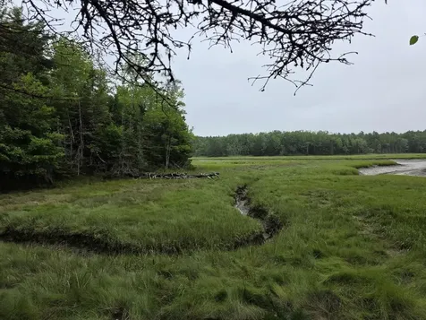 Lot 175 Poplar Lane Milbridge ME 04658