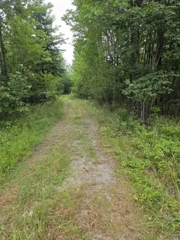 Lot 175 Poplar Lane Milbridge ME 04658