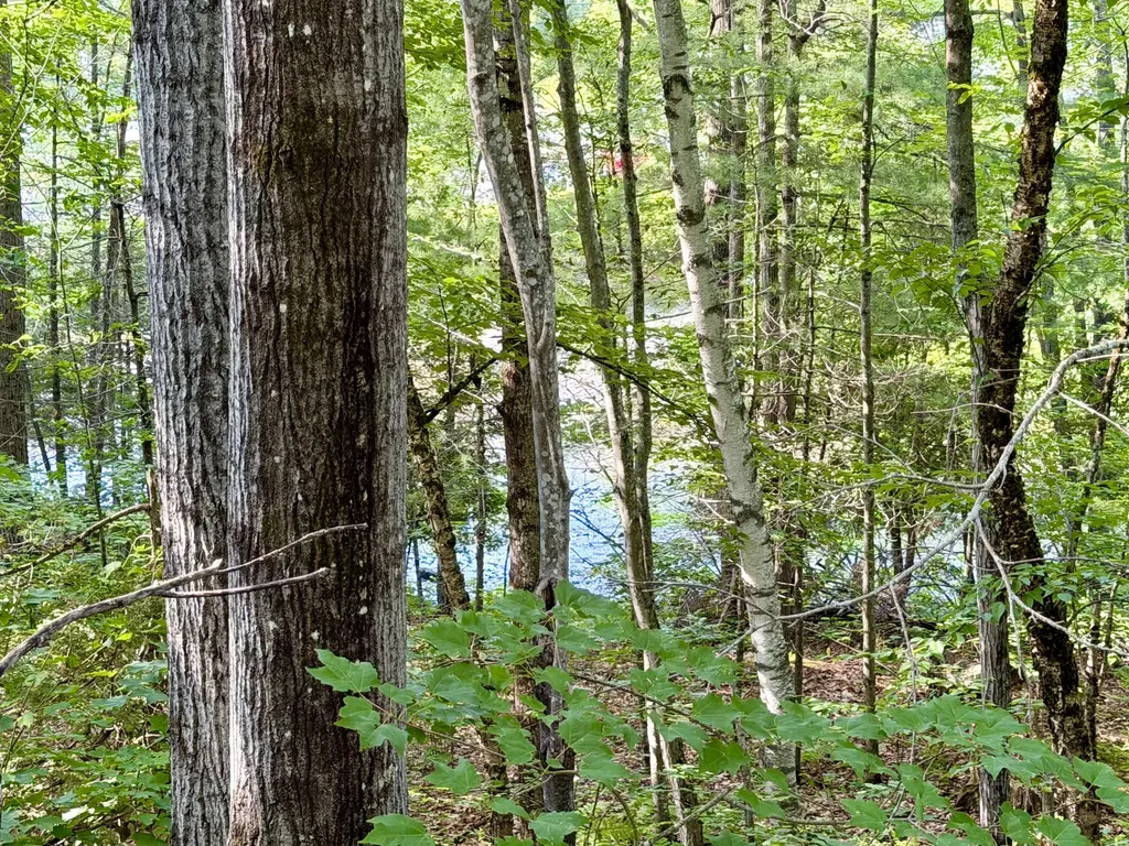 122 Eagle Ridge Road Brewer ME 04412