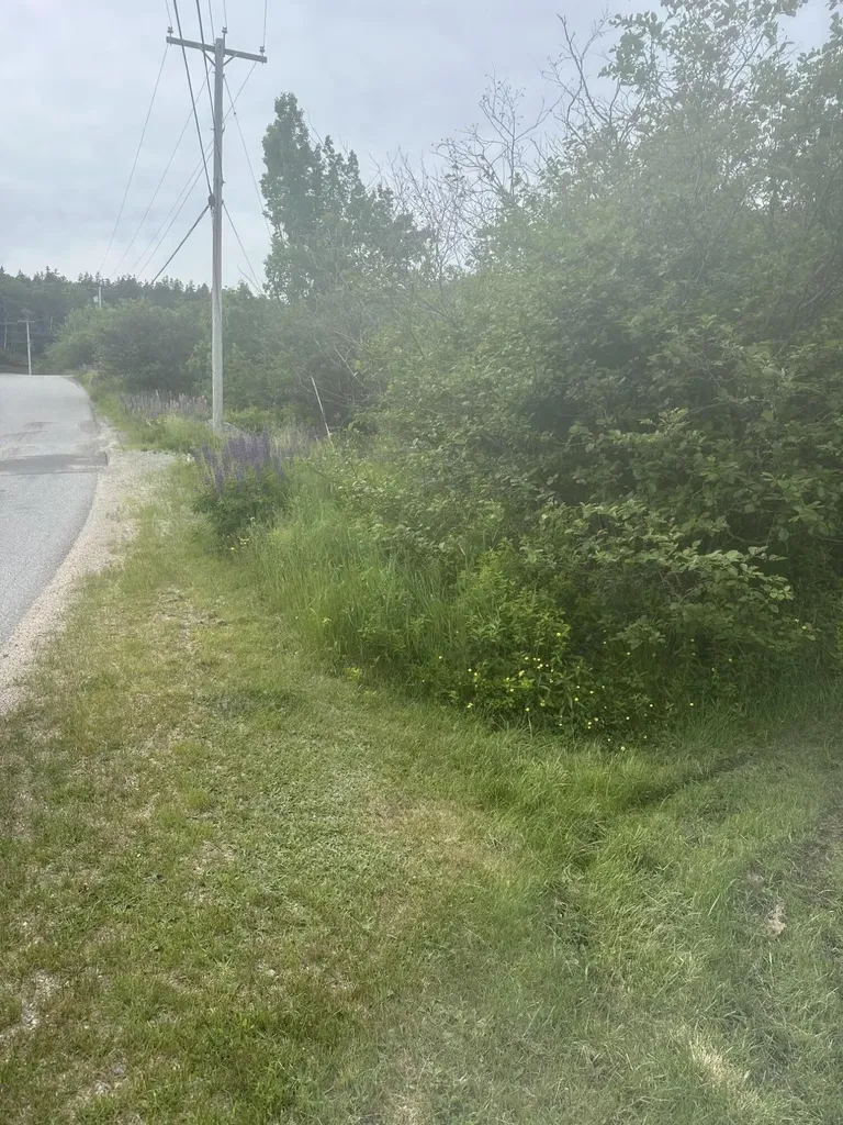 16 Smalls Point Road Machiasport ME 04655