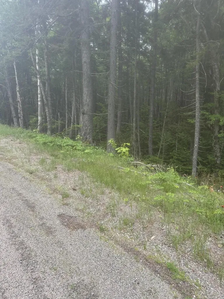 16 Smalls Point Road Machiasport ME 04655
