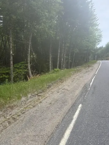 16 Smalls Point Road Machiasport ME 04655