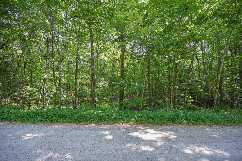 Lot 156 Leisure Lane Limerick ME 04048