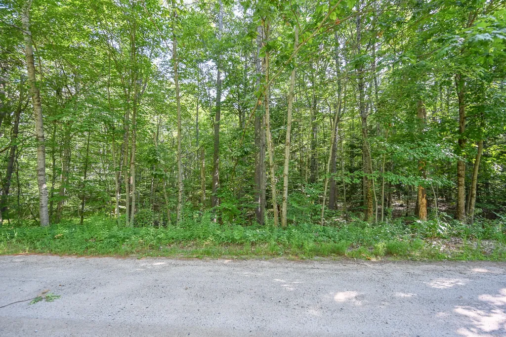 Lot 156 Leisure Lane Limerick ME 04048