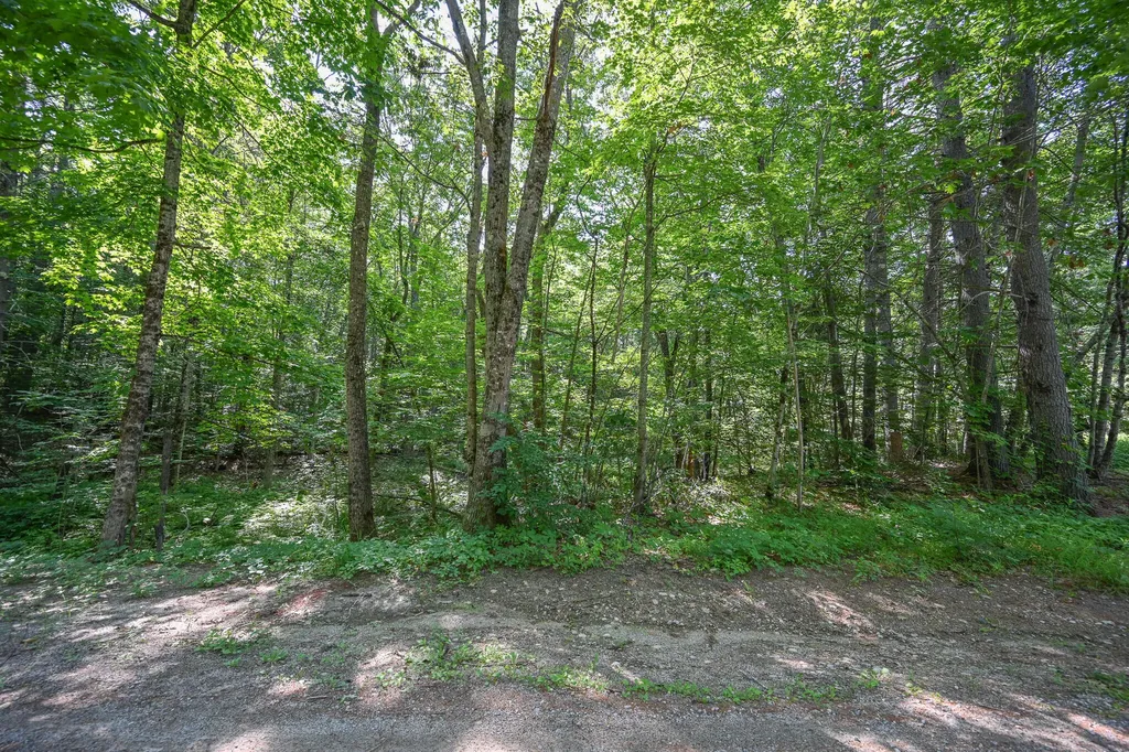 Lot 156 Leisure Lane Limerick ME 04048