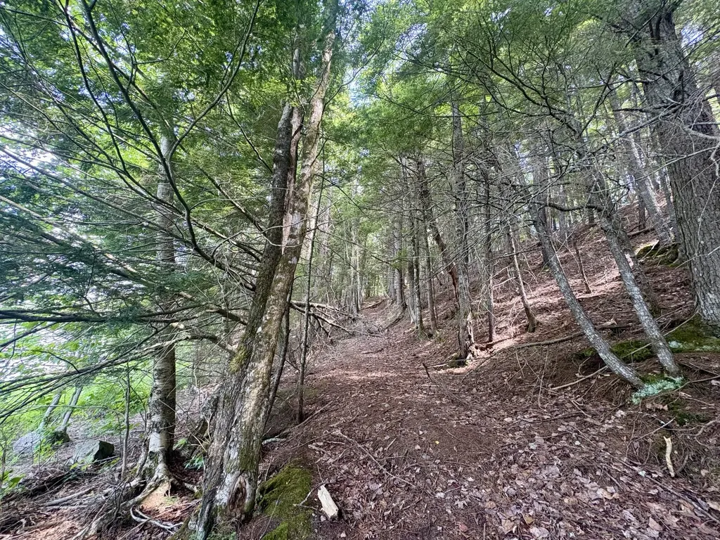 219 River Road Maxfield ME 04453