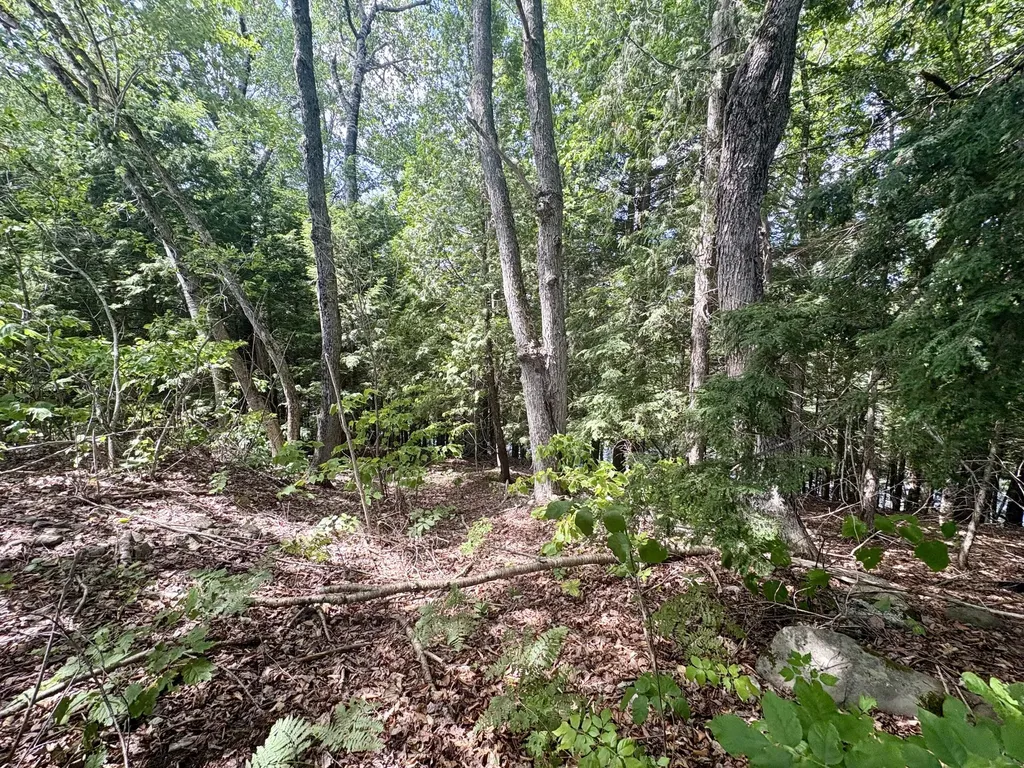 219 River Road Maxfield ME 04453