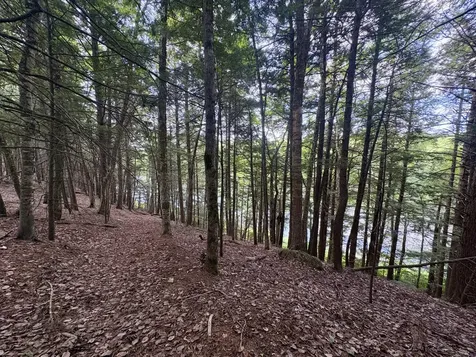 219 River Road Maxfield ME 04453