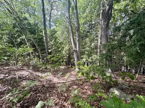 219 River Road Maxfield ME 04453