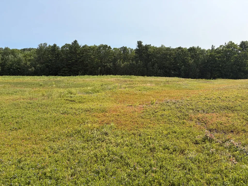 44 Acres Belden Woods Road Palermo ME 04354