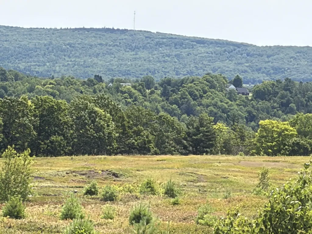 44 Acres Belden Woods Road Palermo ME 04354