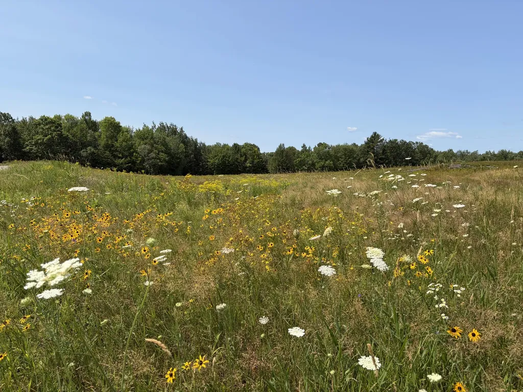 44 Acres Belden Woods Road Palermo ME 04354