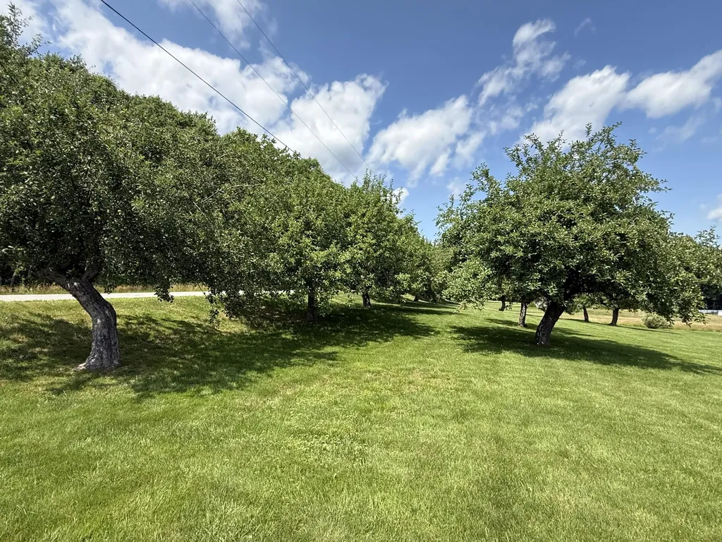 26 Brown Road Morrill ME 04952