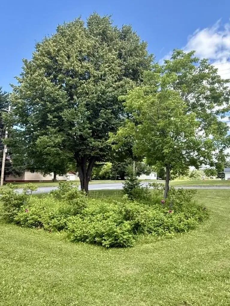 353 U.s. 1 Route 1 Frenchville ME 04745