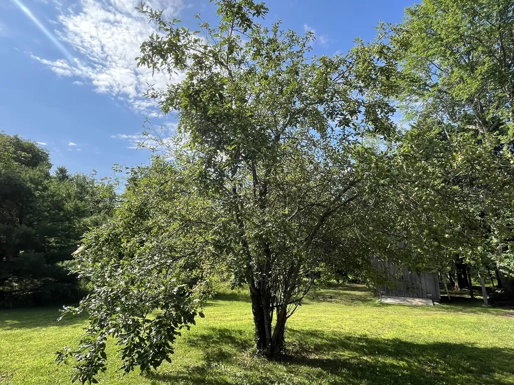 794 Thurston Hill Road Madison ME 04950