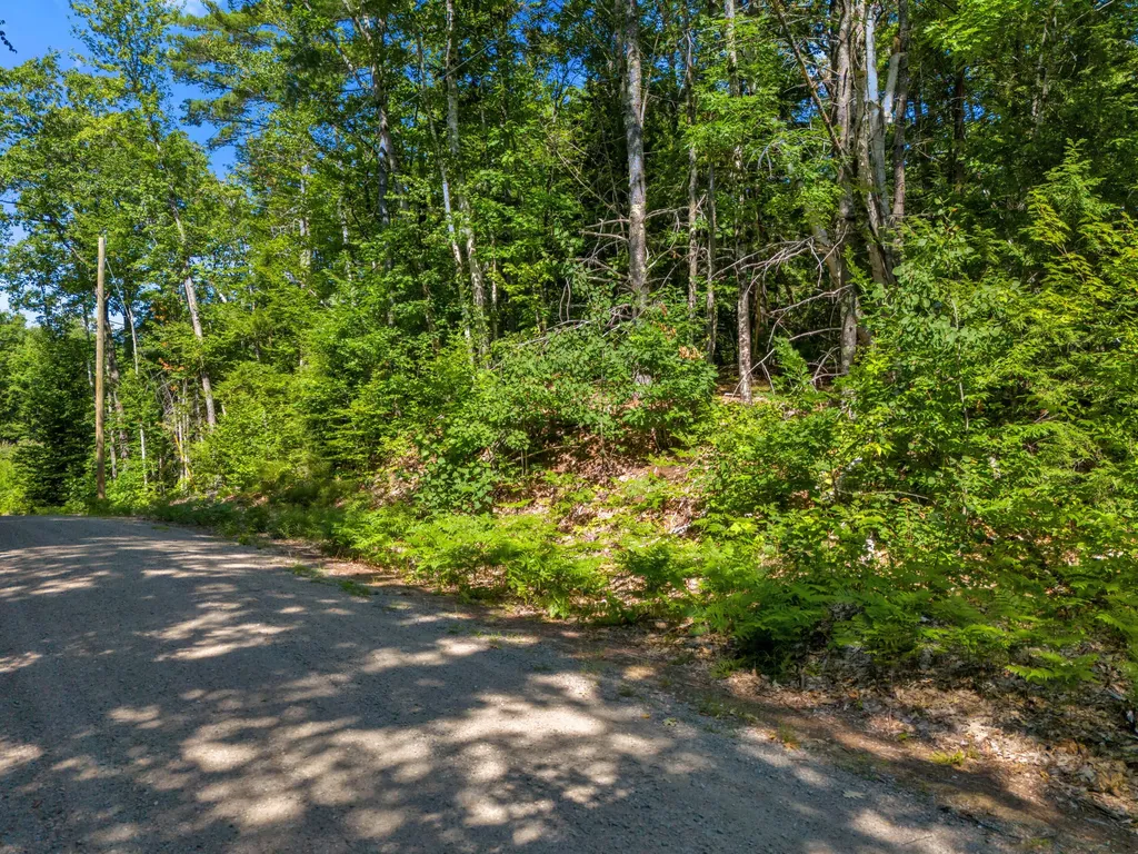 49 Fernalds Hill Way Stow ME 04037