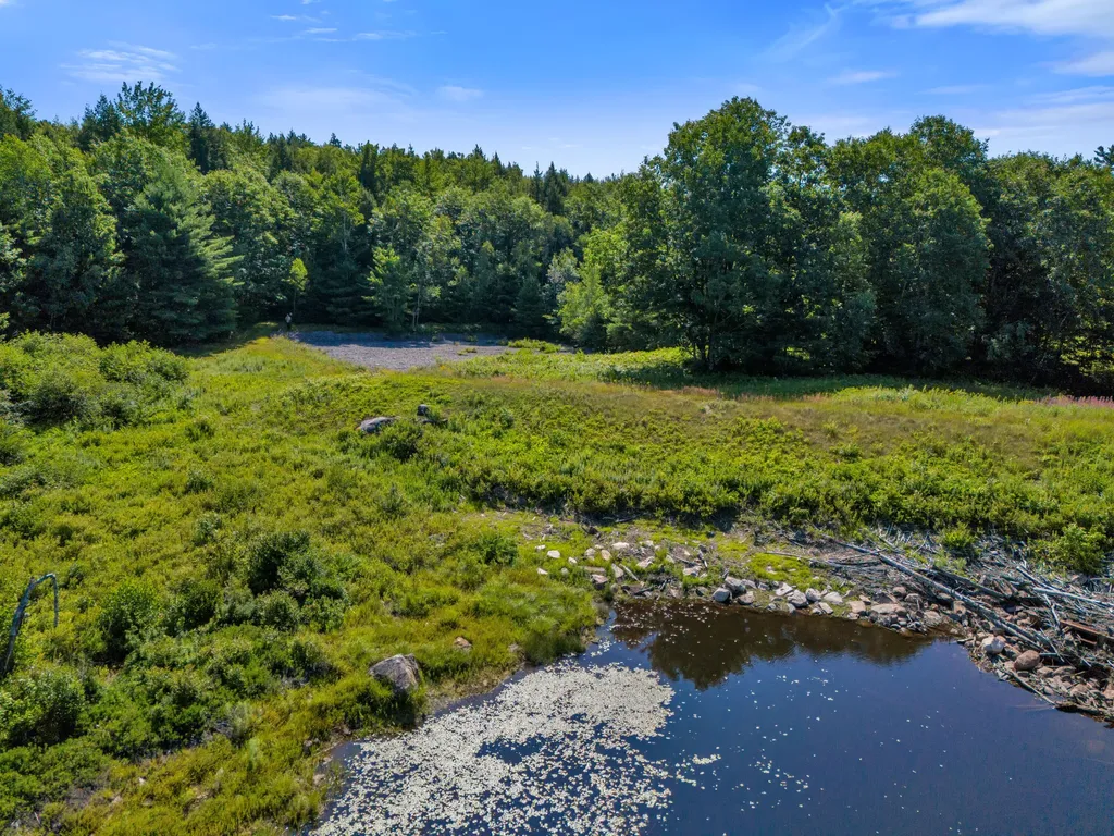 49 Fernalds Hill Way Stow ME 04037