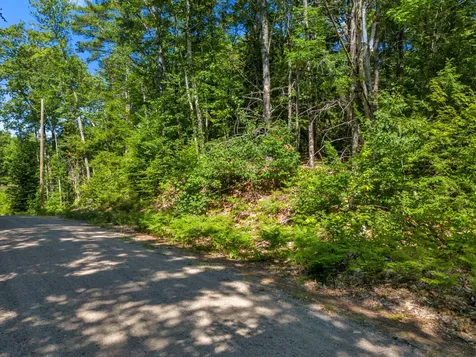 49 Fernalds Hill Way Stow ME 04037