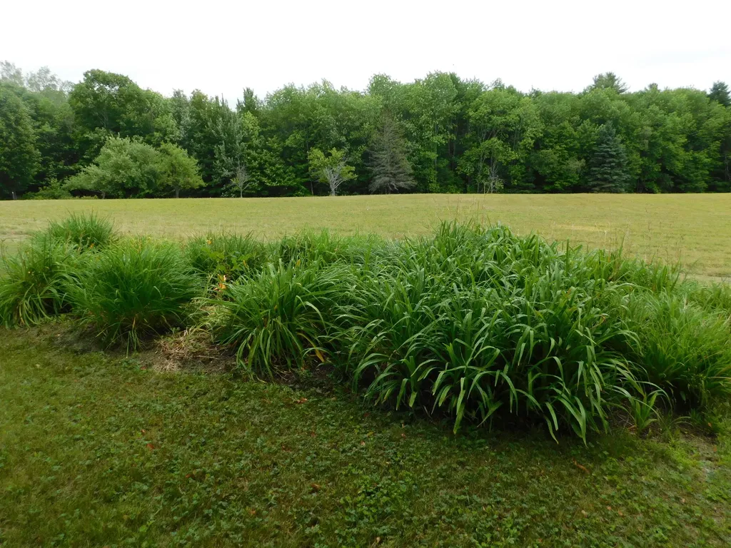 41 Brown Farm Road Solon ME 04979