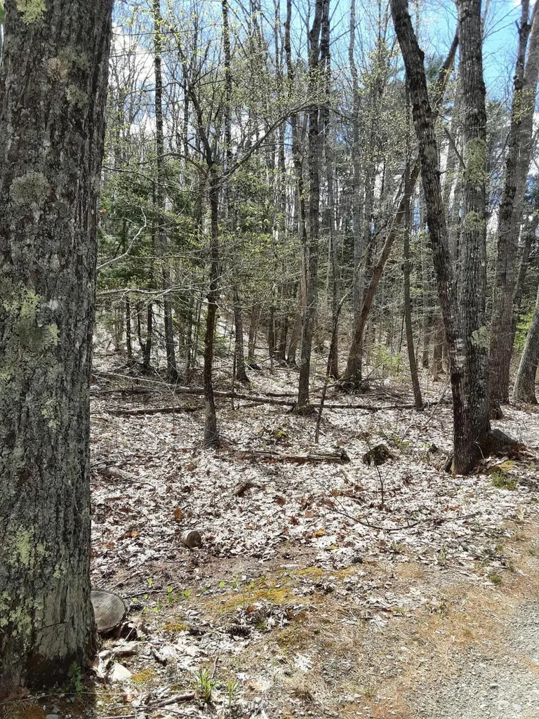 0 Libby Road Jefferson ME 04348