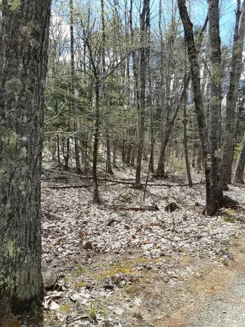 0 Libby Road Jefferson ME 04348