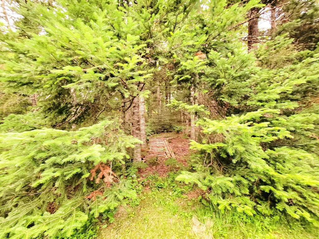 3373 Mariaville Road Mariaville ME 04605
