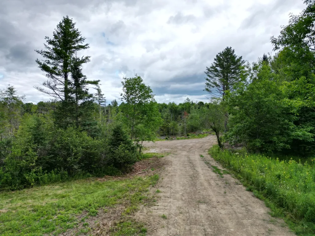 Lot 16 Route 1 Brookton Twp ME 04413