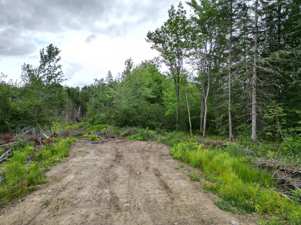 Lot 16 Route 1 Brookton Twp ME 04413