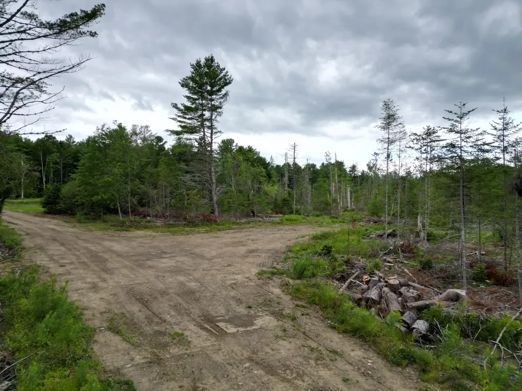 Lot 16 Route 1 Brookton Twp ME 04413
