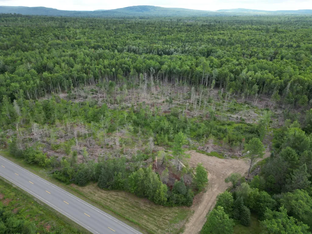 Lot 16 Route 1 Brookton Twp ME 04413