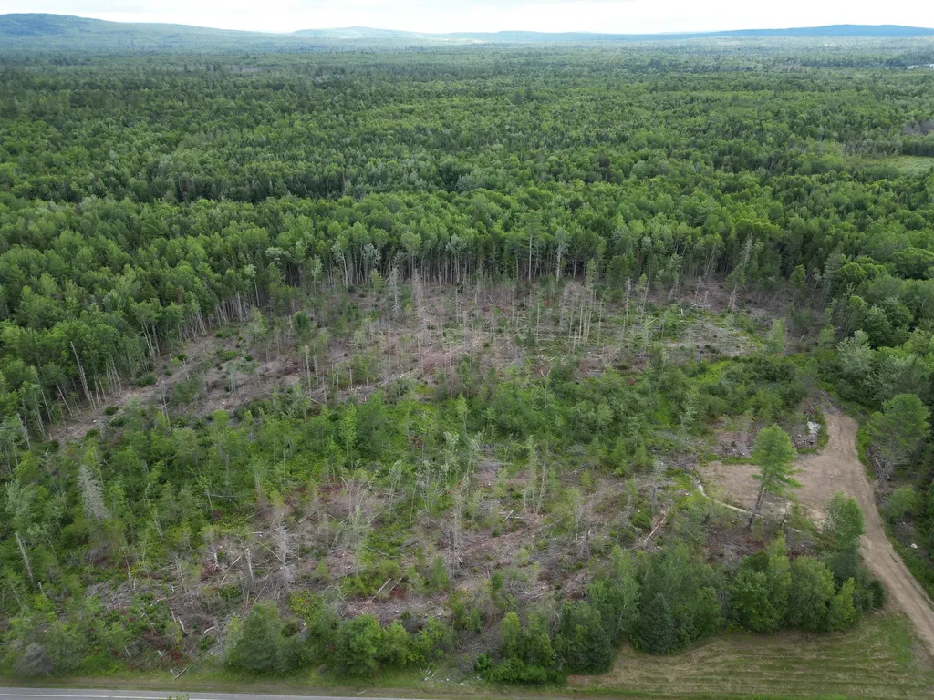 Lot 16 Route 1 Brookton Twp ME 04413