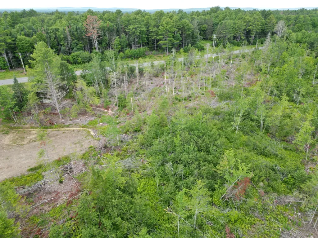Lot 16 Route 1 Brookton Twp ME 04413