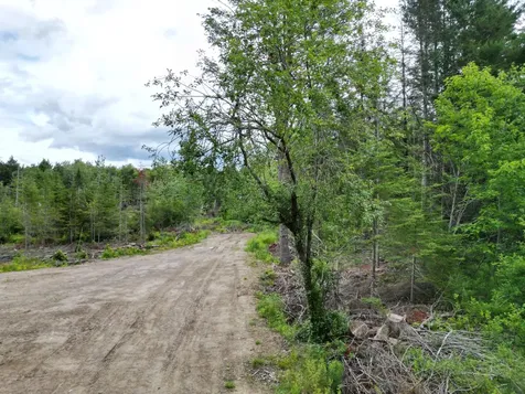 Lot 16 Route 1 Brookton Twp ME 04413