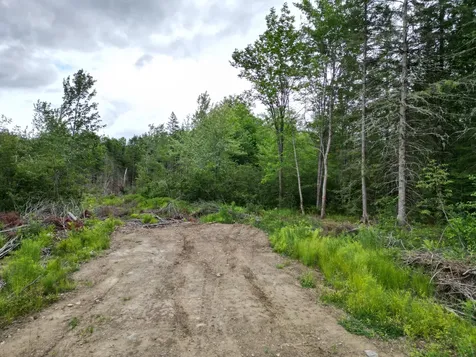 Lot 16 Route 1 Brookton Twp ME 04413