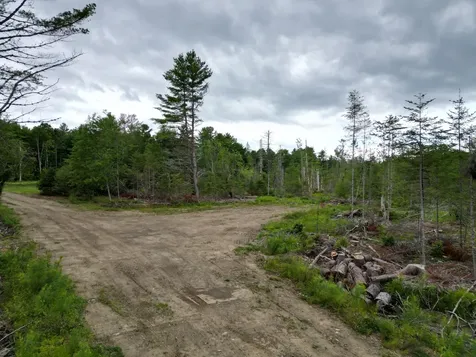 Lot 16 Route 1 Brookton Twp ME 04413