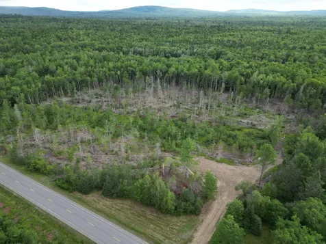 Lot 16 Route 1 Brookton Twp ME 04413