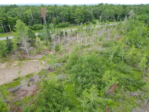 Lot 16 Route 1 Brookton Twp ME 04413