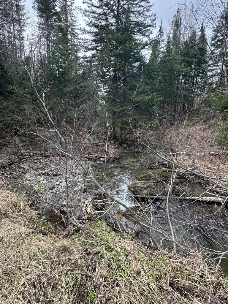 128 Beaulieu Road Madawaska ME 04773