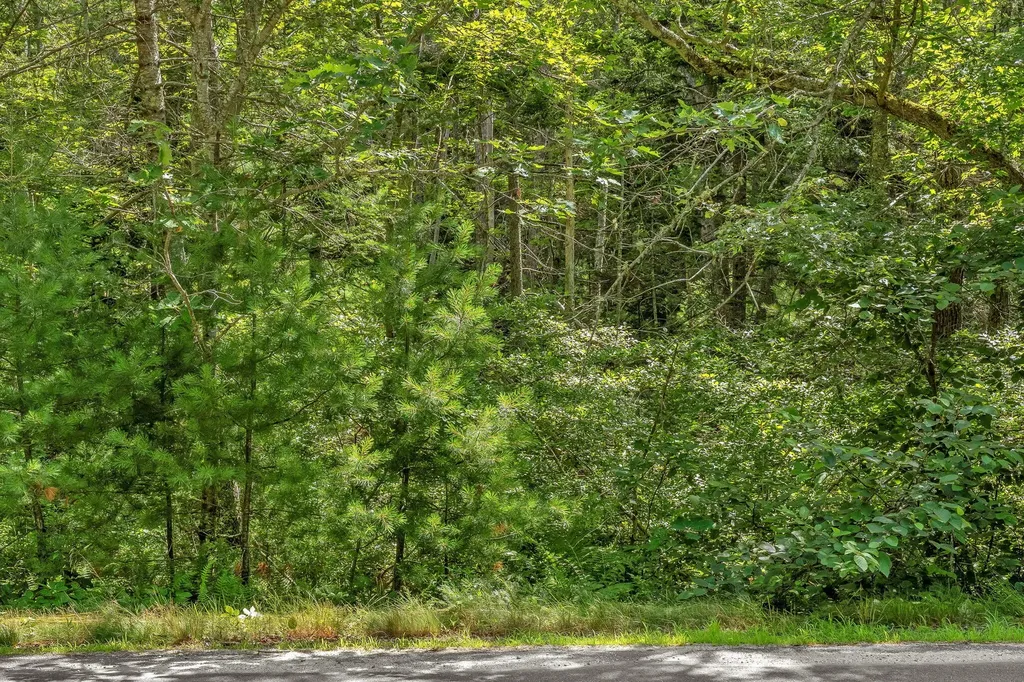 Lot 5 Parker Head Road Phippsburg ME 04562