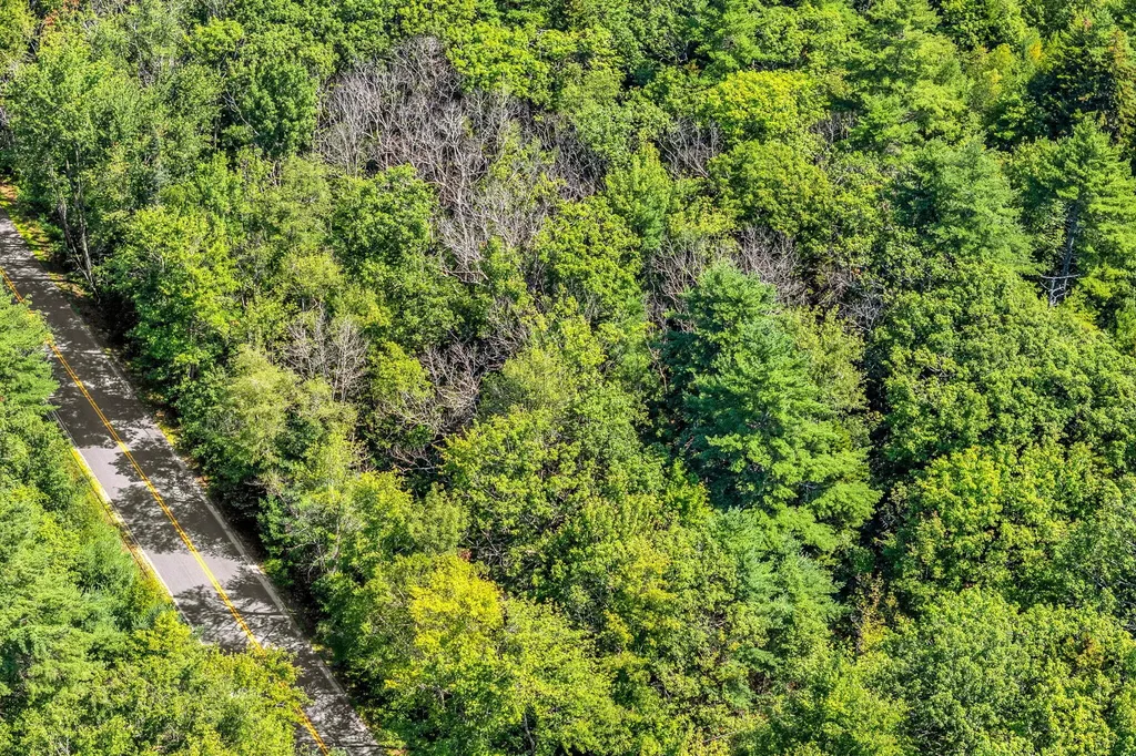 Lot 5 Parker Head Road Phippsburg ME 04562