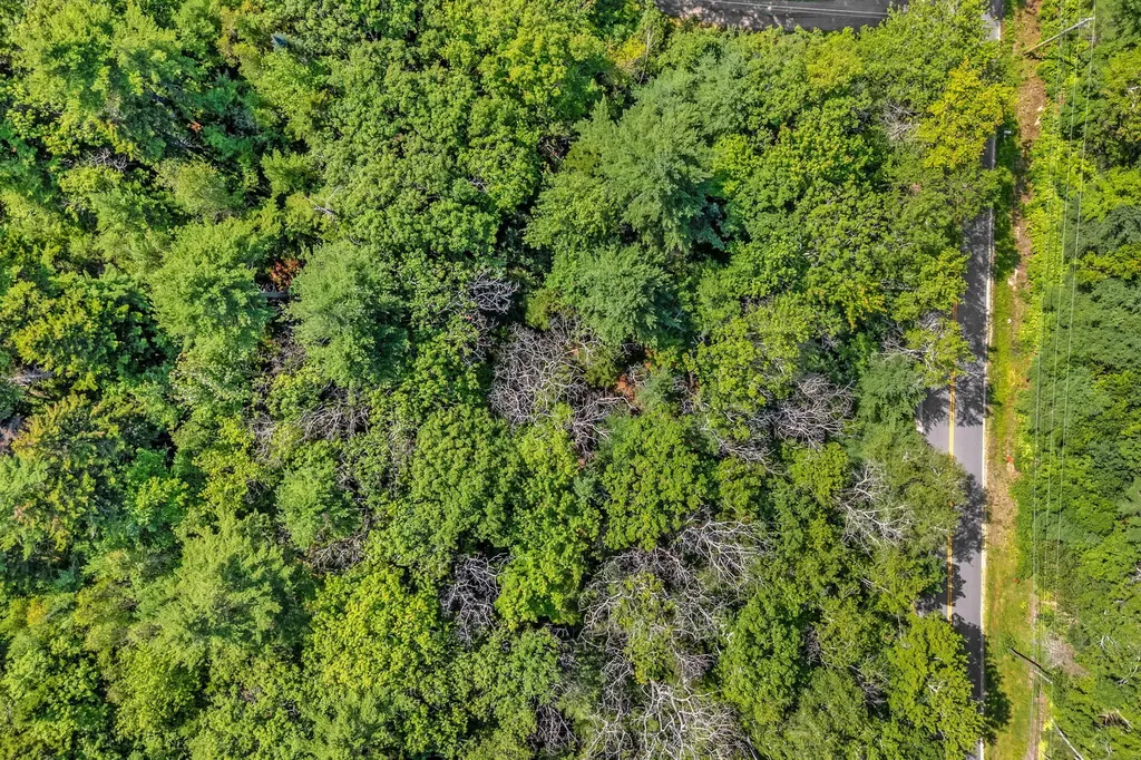 Lot 5 Parker Head Road Phippsburg ME 04562