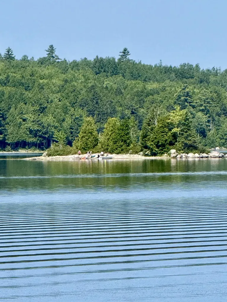 Lot 121 Upper Lead Mountain Pond Road T22 Md ME 04408