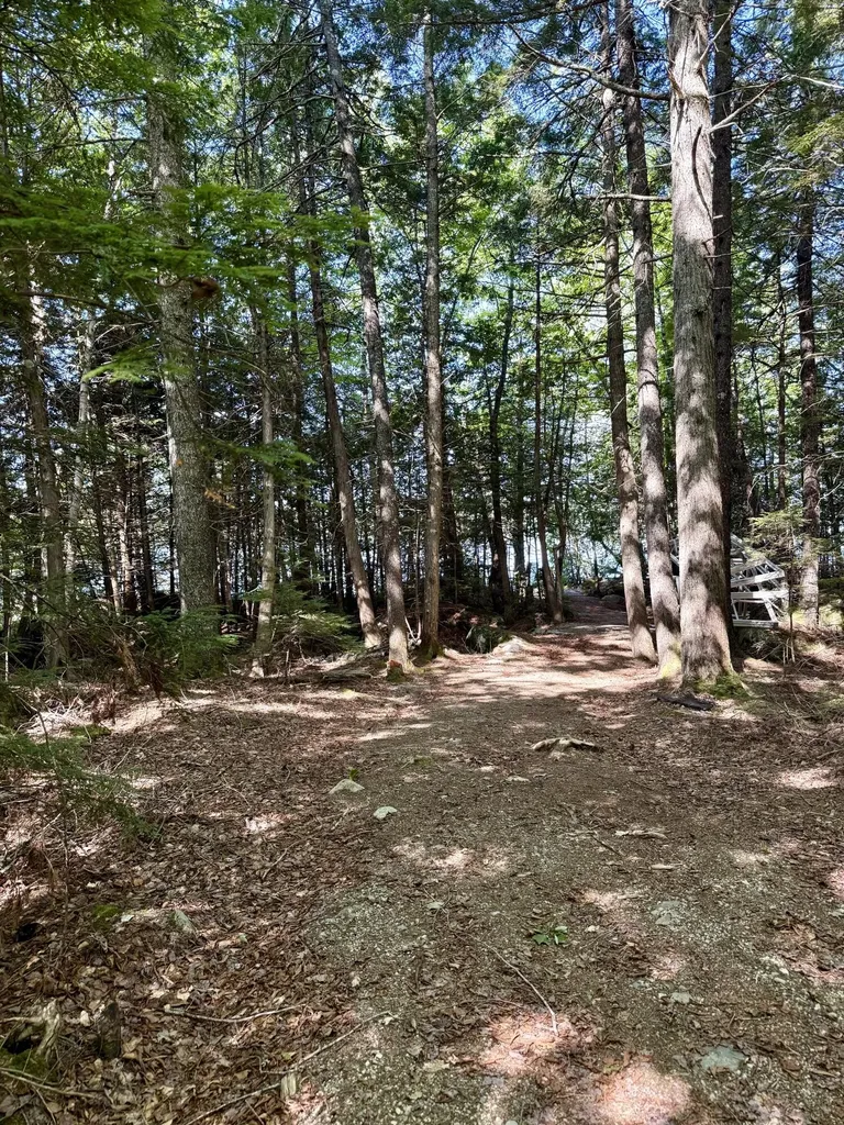 Lot 121 Upper Lead Mountain Pond Road T22 Md ME 04408