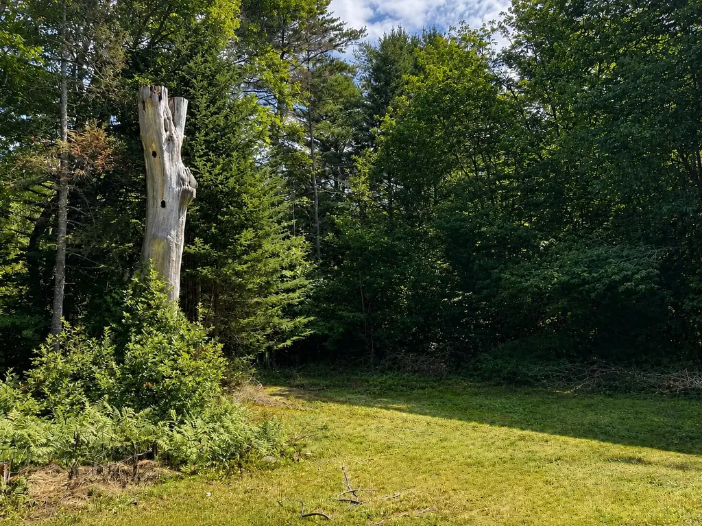 96 Dyer's Bay Road Steuben ME 04680