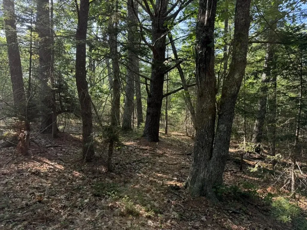 Lot 18b Waldoboro Road Bremen ME 04551