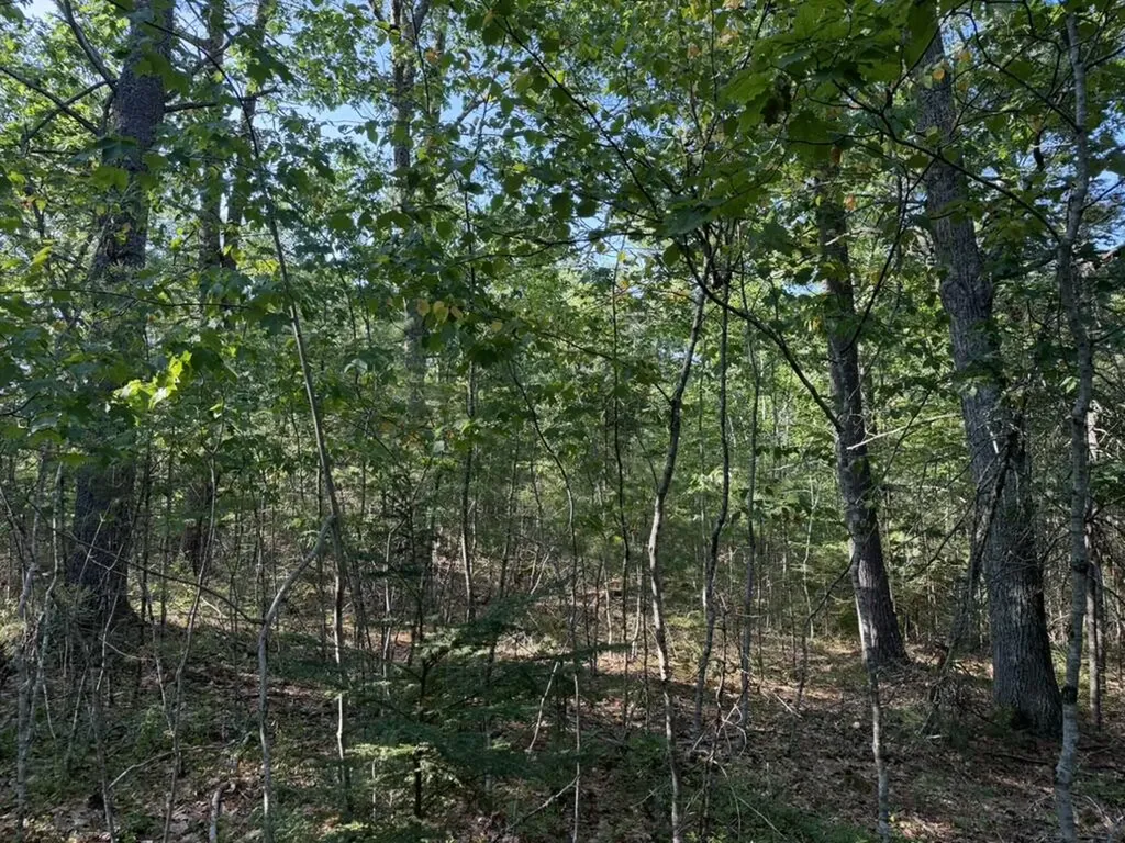 Lot 18b Waldoboro Road Bremen ME 04551