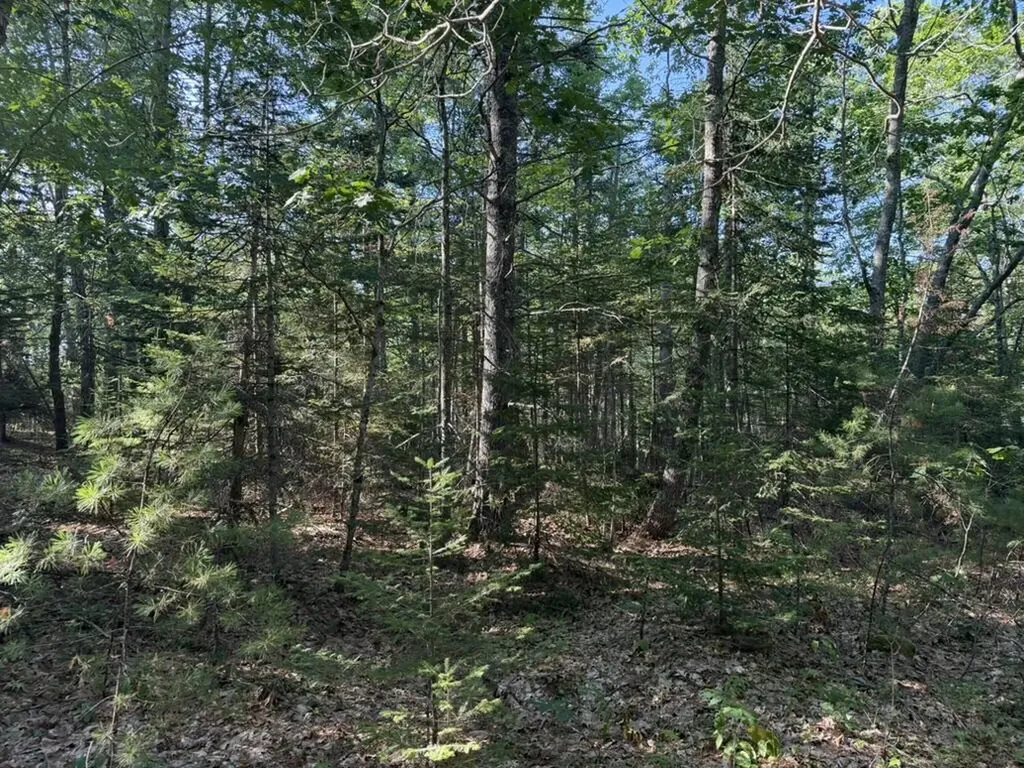 Lot 18b Waldoboro Road Bremen ME 04551
