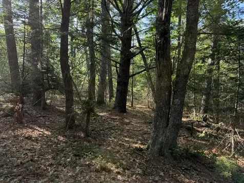 Lot 18b Waldoboro Road Bremen ME 04551