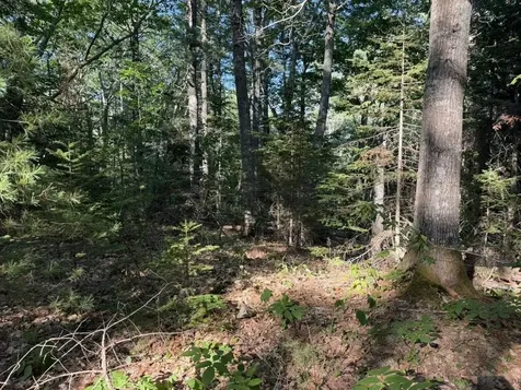 Lot 18b Waldoboro Road Bremen ME 04551